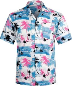 Hawaiian Blue Shirt